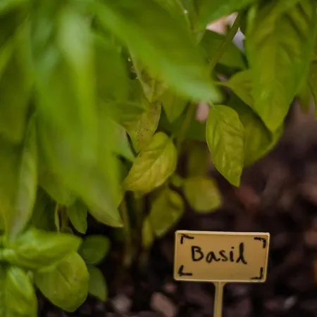 Heritage Castel Muschio Villa Omisalj