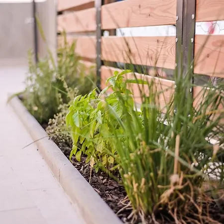 Villa Heritage Castel Muschio